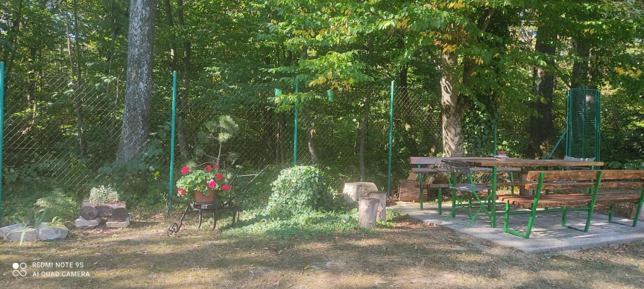 Holiday Home Nina Petrinja Экстерьер фото